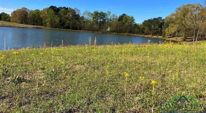 photo 8: Lot 49 White Oak, Big Sandy TX 75755