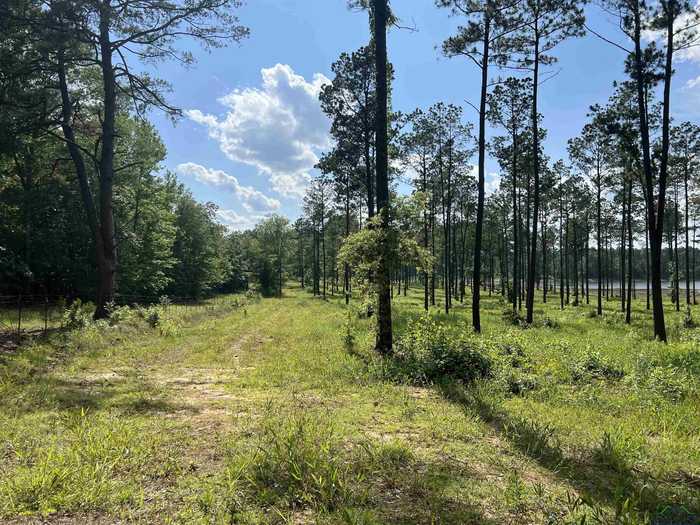 photo 8: CR 4117, Lot 1, Atlanta TX 75551