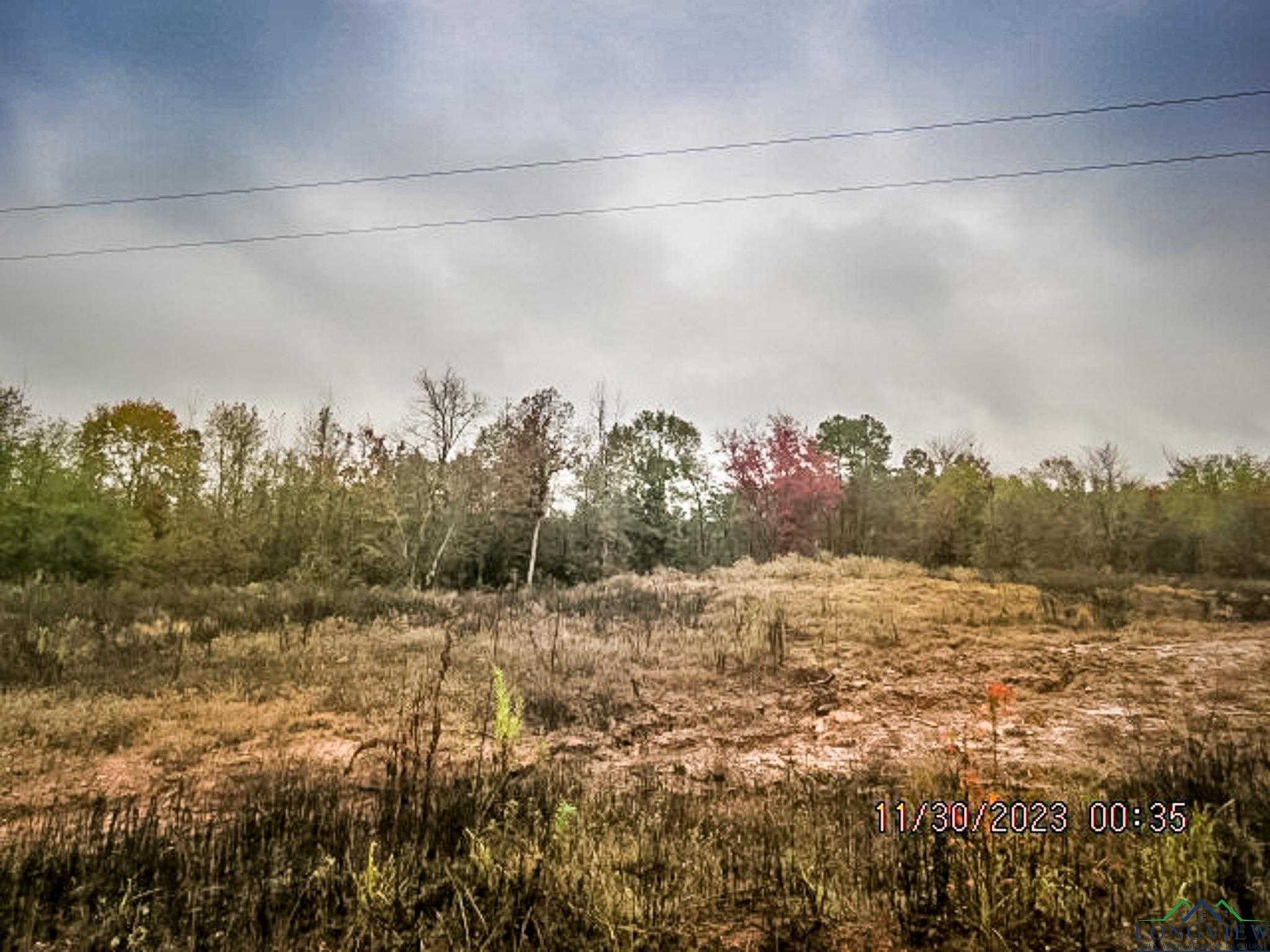 photo 3: LOT 2 Keasler Rd, Hallsville TX 75650