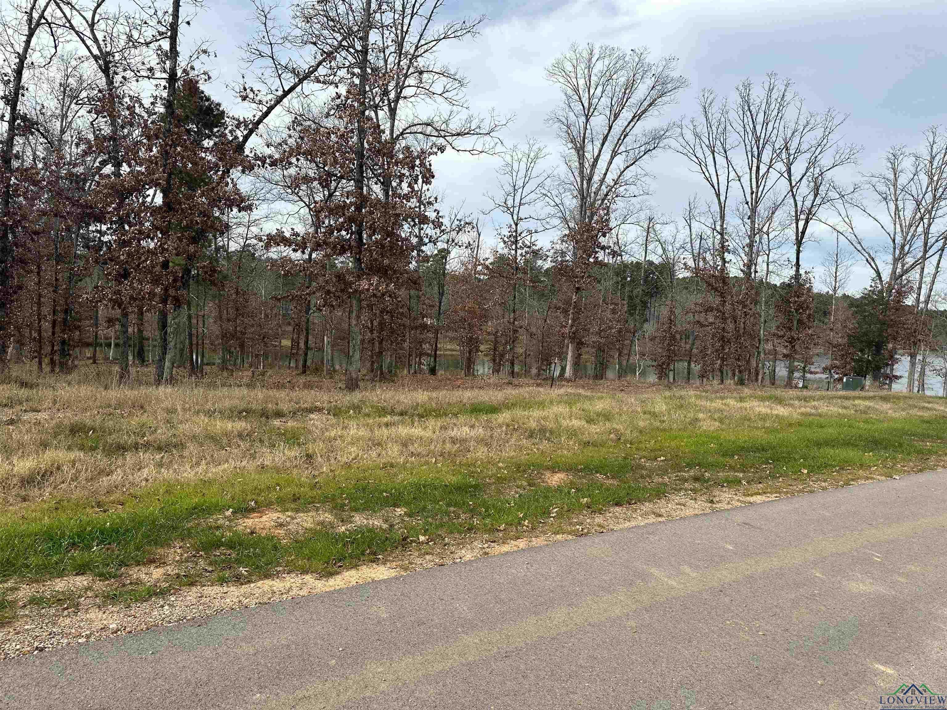 photo 3: Lot 22 Boulder Ct, Hallsville TX 75650