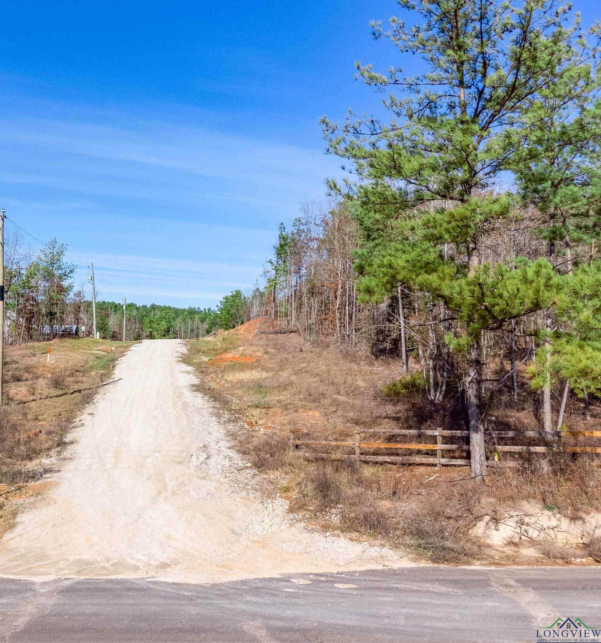 photo 2: tbd Bluebird Rd, Gilmer TX 75645