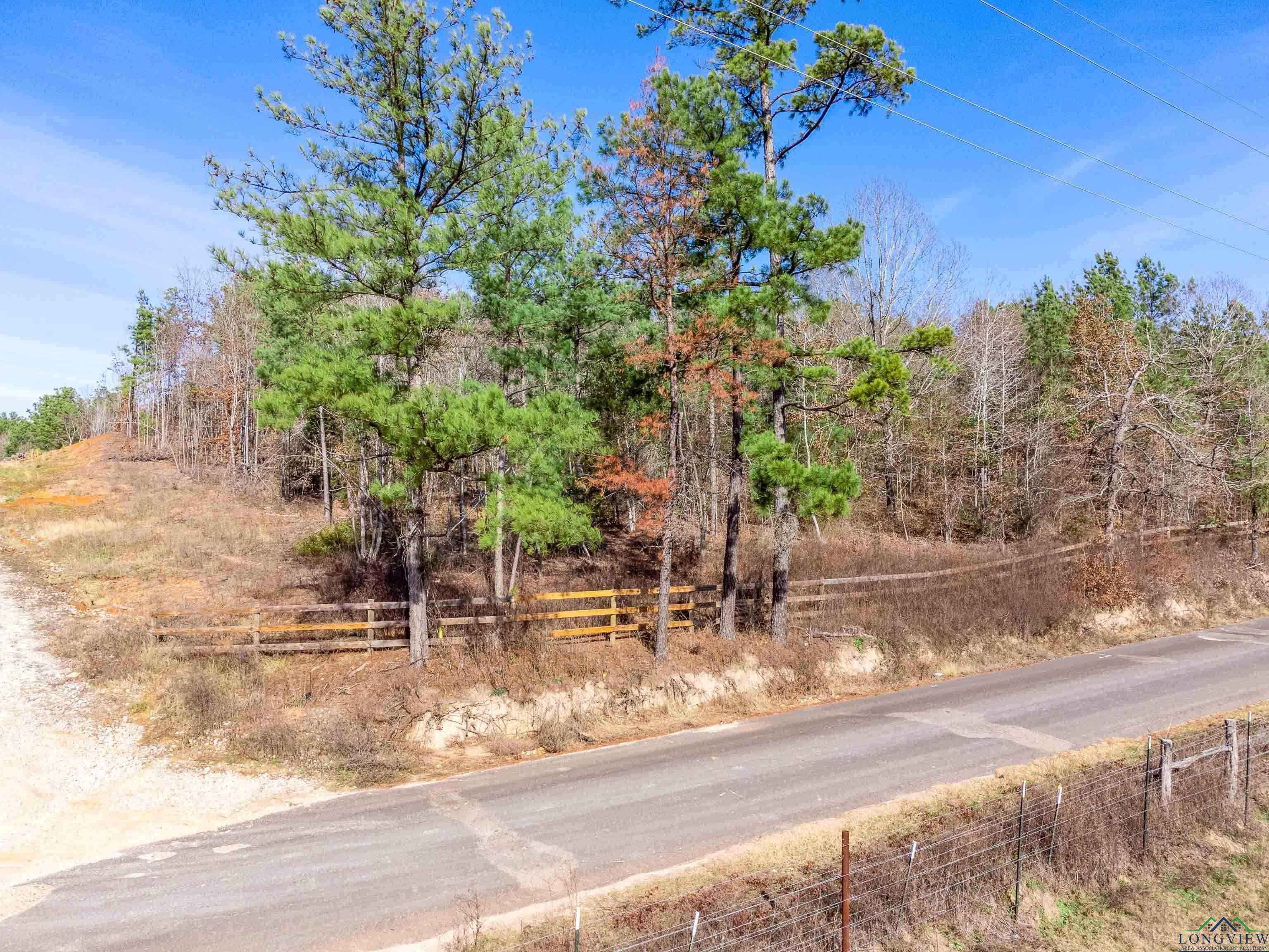 photo 3: tbd Bluebird Rd, Gilmer TX 75645