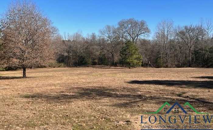 photo 1: 1601 County Road 1582, Avinger TX 75630