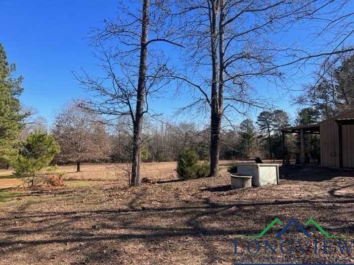 photo 2: 1601 County Road 1582, Avinger TX 75630