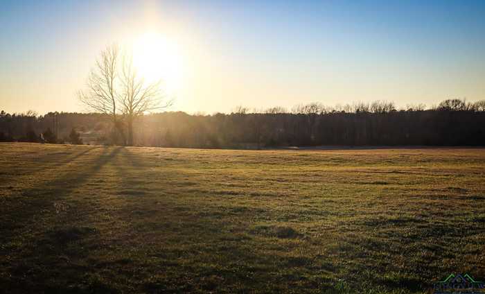 photo 15: Tract 3 E CR 2212, Tatum TX 75691