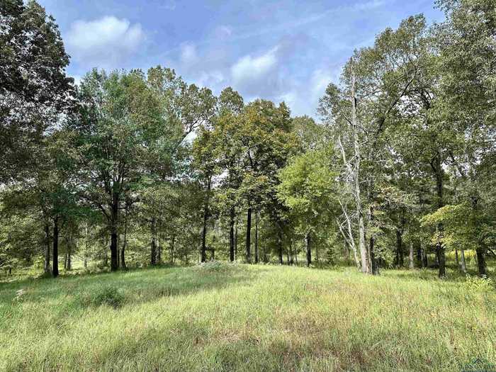 photo 14: TBD PR 3398 Lot 32, Big Sandy TX 75755