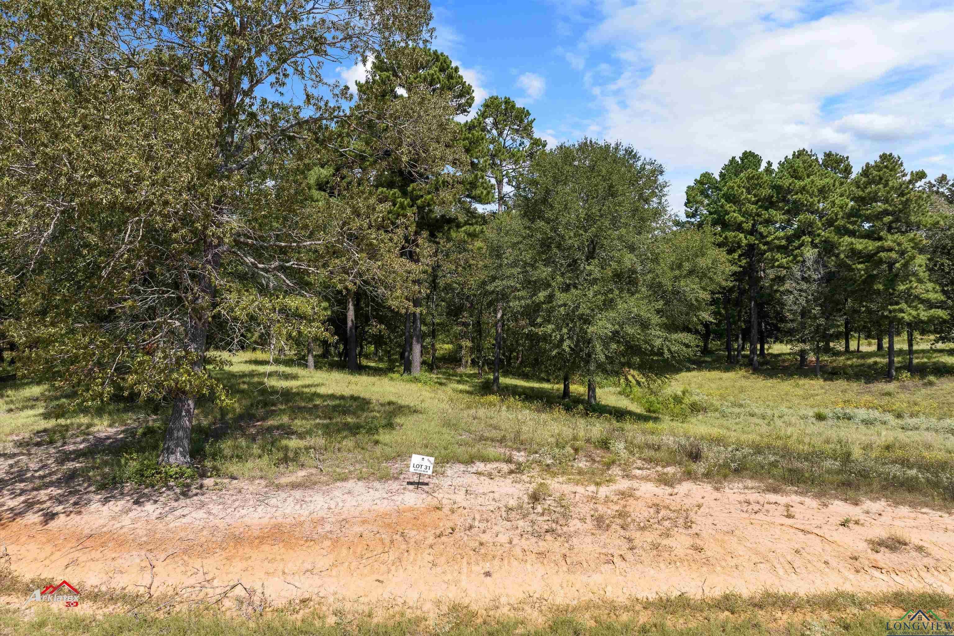 photo 1: TBD PR 3398 Lot 31, Big Sandy TX 75755