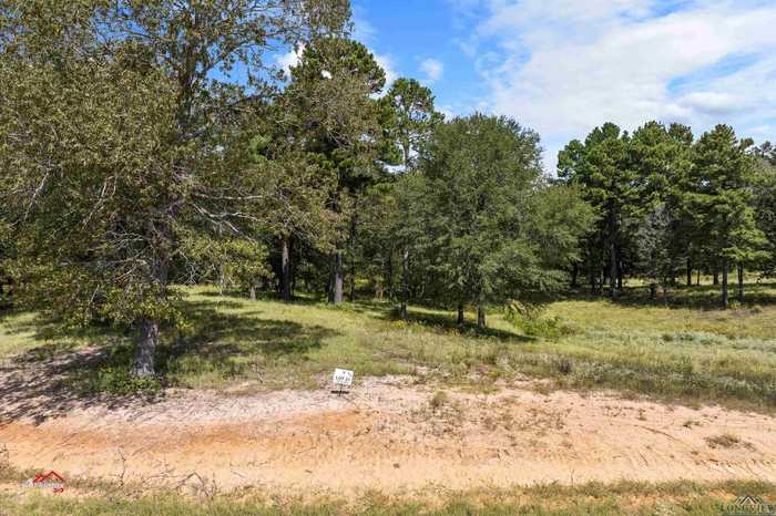 photo 1: TBD PR 3398 Lot 31, Big Sandy TX 75755