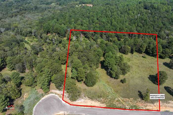 photo 2: TBD PR 3398 Lot 31, Big Sandy TX 75755