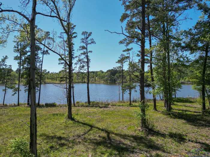 photo 1: Lot 41 Marble Way, Hallsville TX 75650