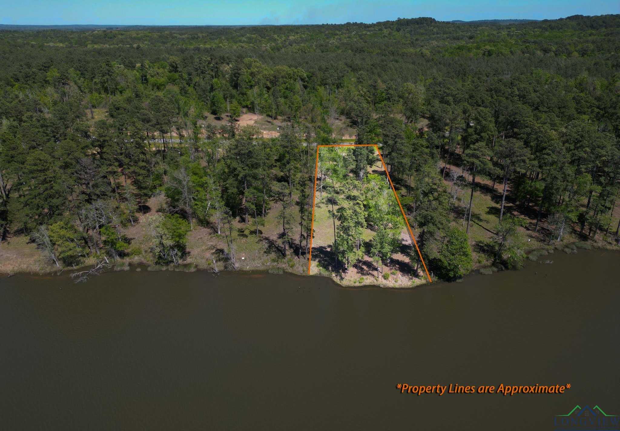 photo 3: Lot 41 Marble Way, Hallsville TX 75650