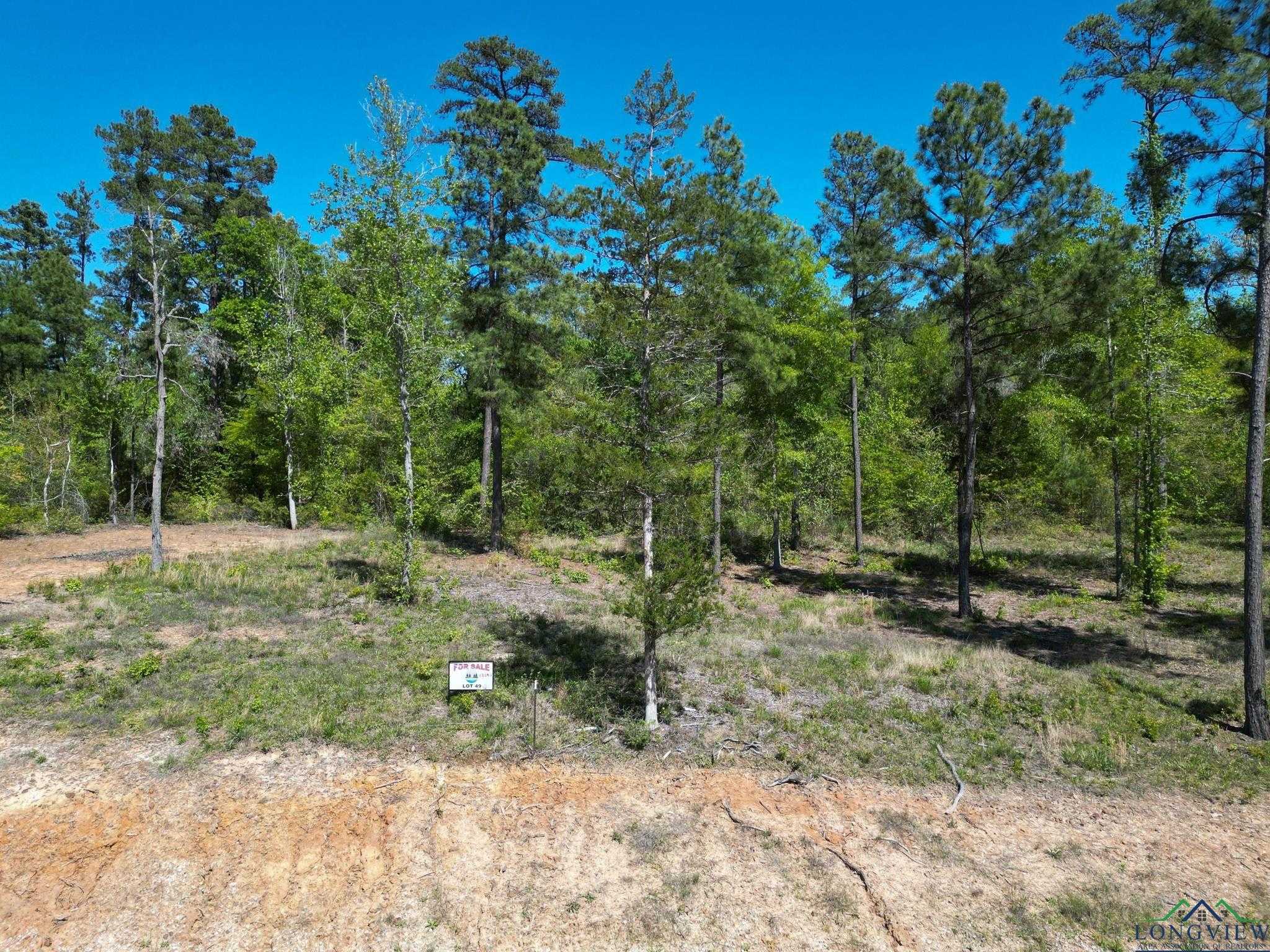 photo 1: Lot 49 Marble Way, Hallsville TX 75650