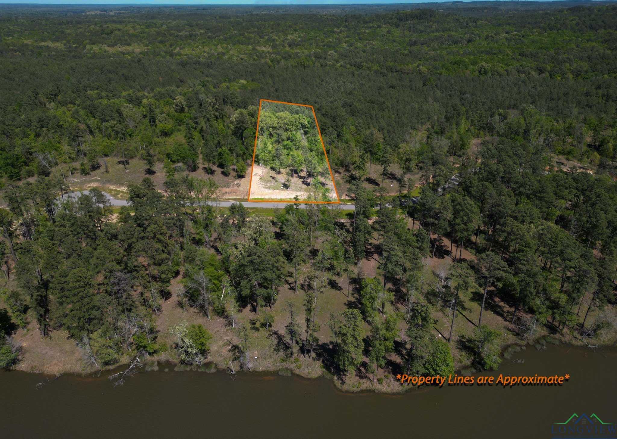 photo 3: Lot 49 Marble Way, Hallsville TX 75650