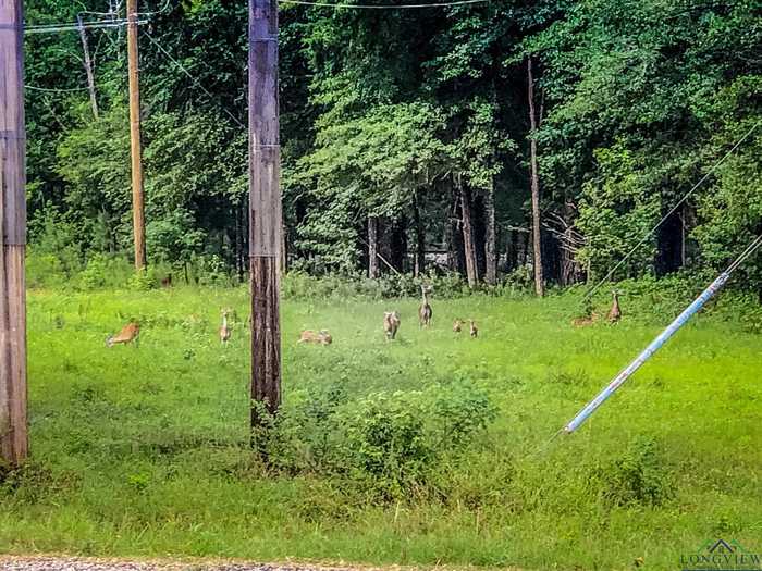 photo 36: TBD BAYOU ST, Jefferson TX 75657