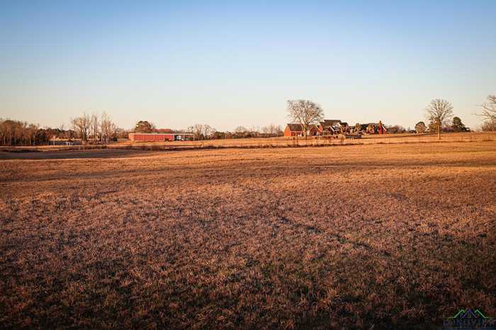 photo 2: Tract 2 E CR 2212, Tatum TX 75691