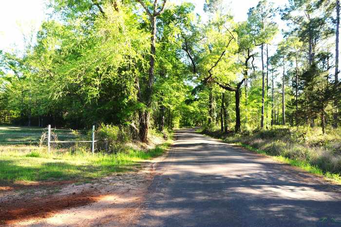 photo 34: TBD Bison Road, Gilmer TX 75644