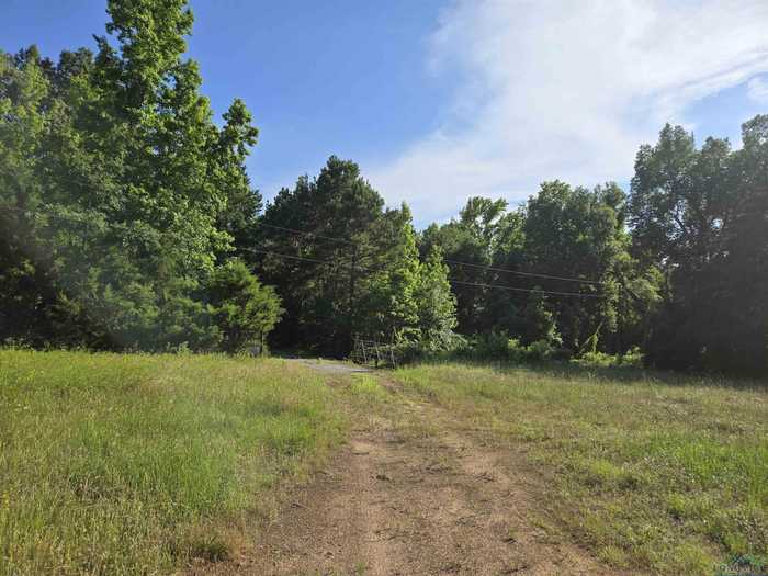 photo 2: TBD Private Road 4079, Gilmer TX 75644