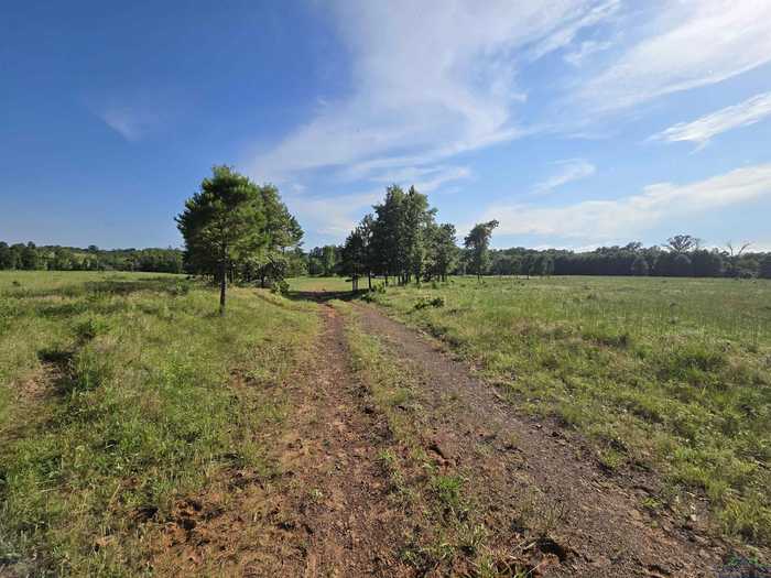 photo 9: TBD Private Road 4079, Gilmer TX 75644