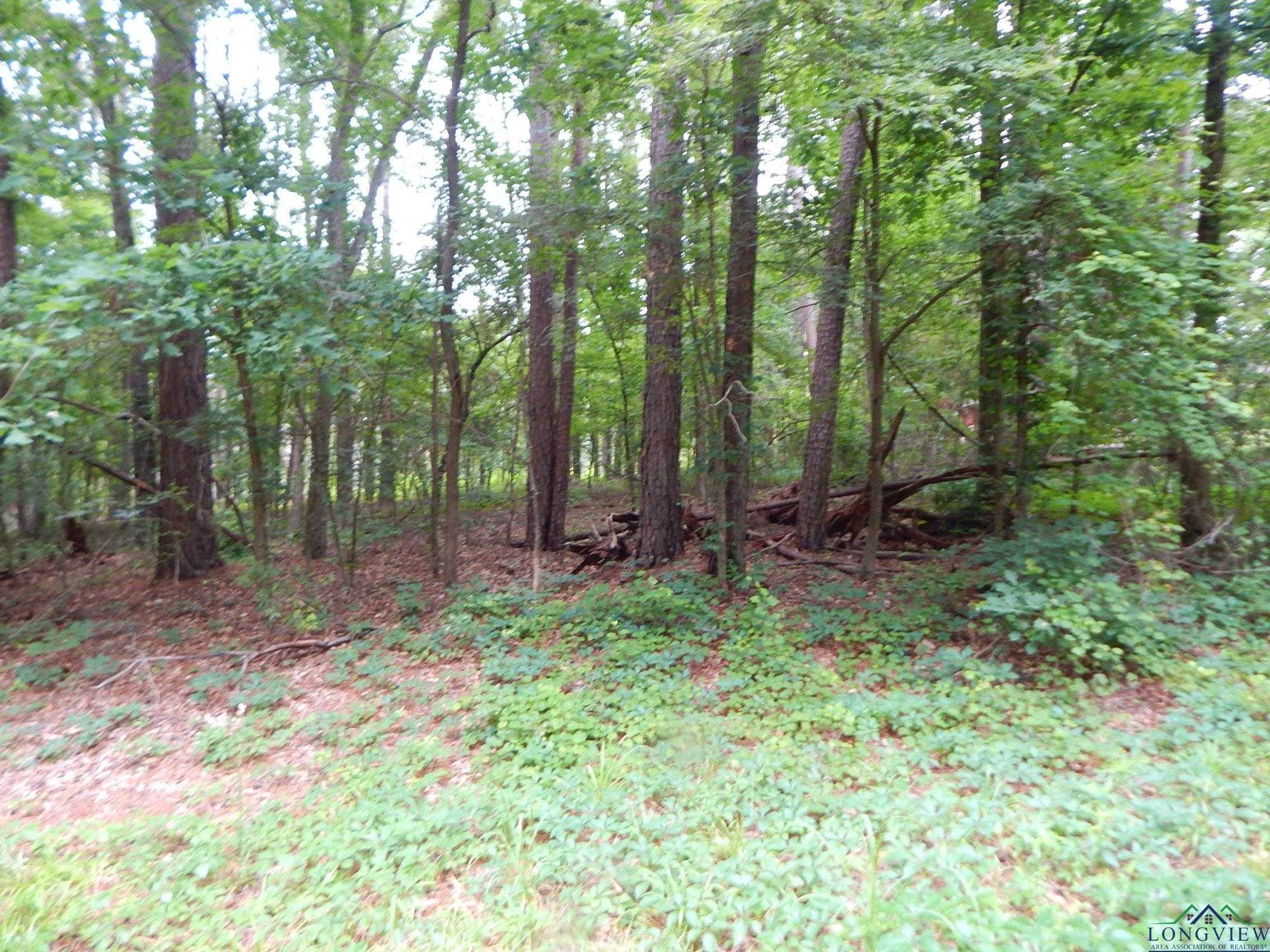 photo 2: TBD Quiet Oak, Gilmer TX 75644