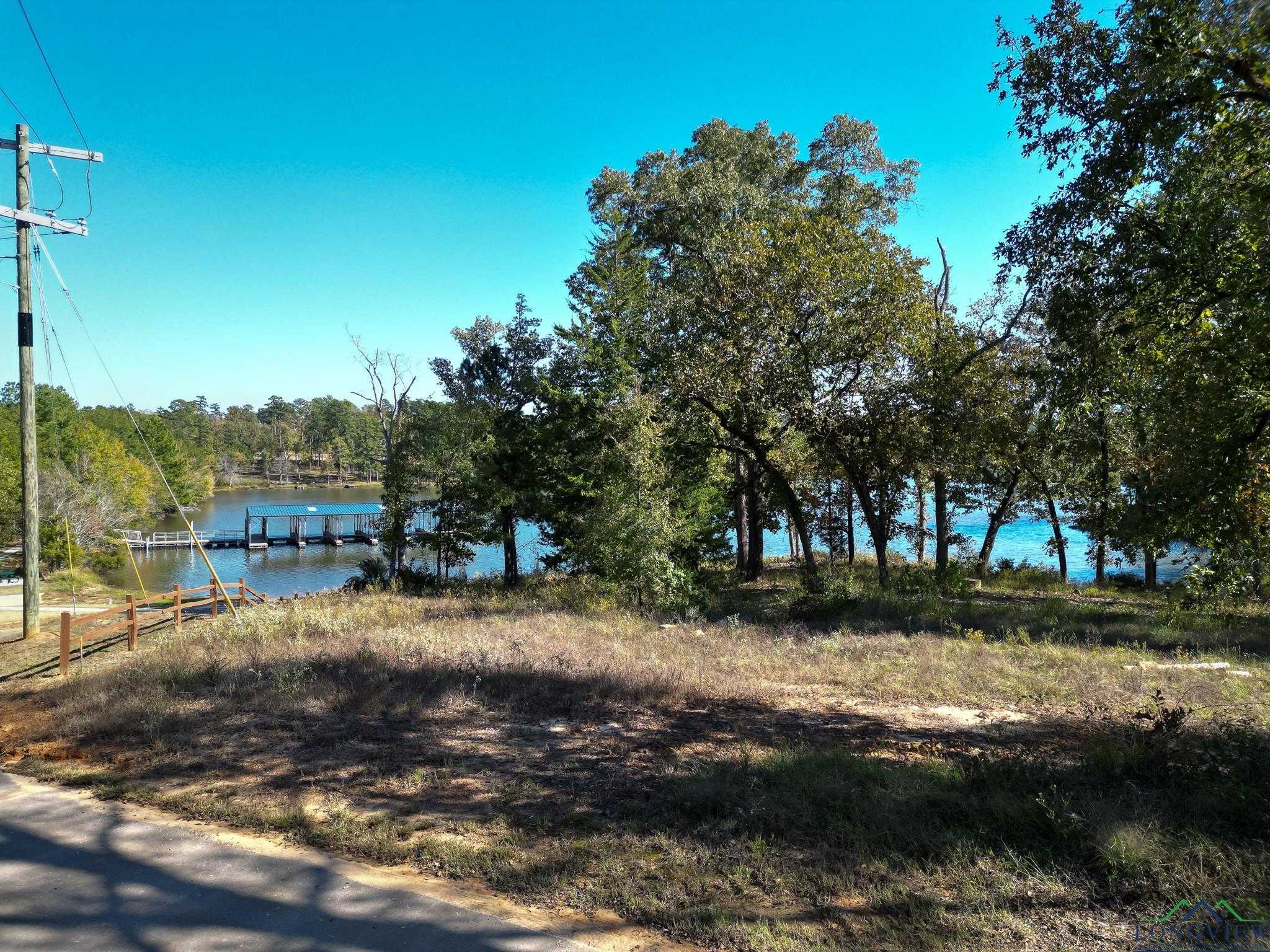 photo 1: Lot 3 TBD Granite Lane, Hallsville TX 75650