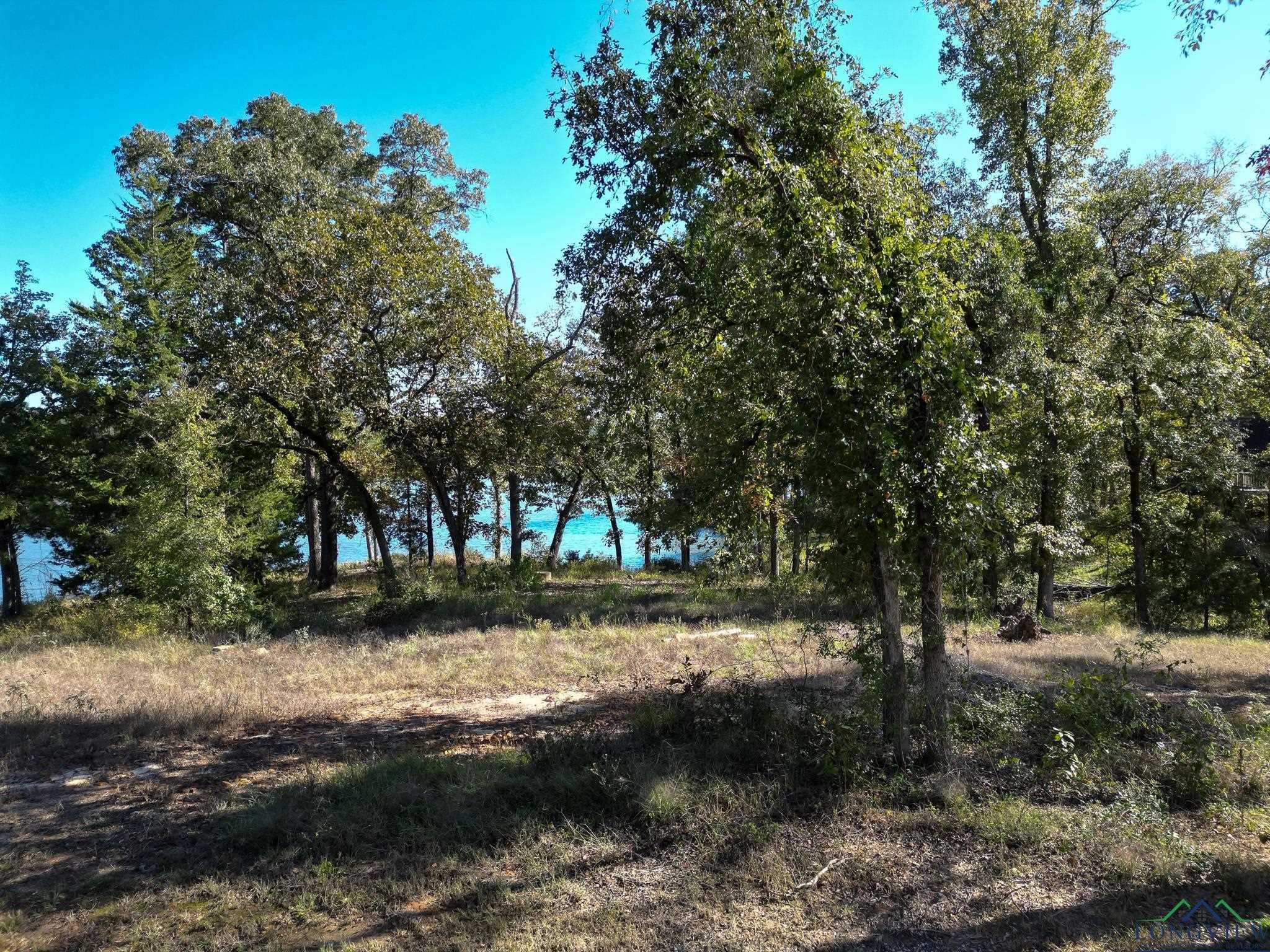 photo 2: Lot 3 TBD Granite Lane, Hallsville TX 75650