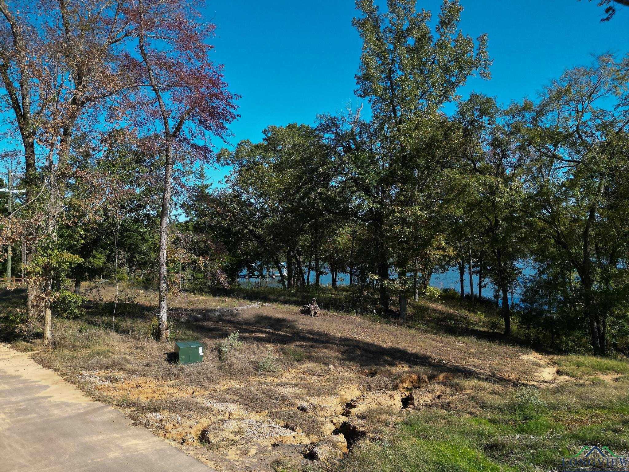 photo 3: Lot 3 TBD Granite Lane, Hallsville TX 75650