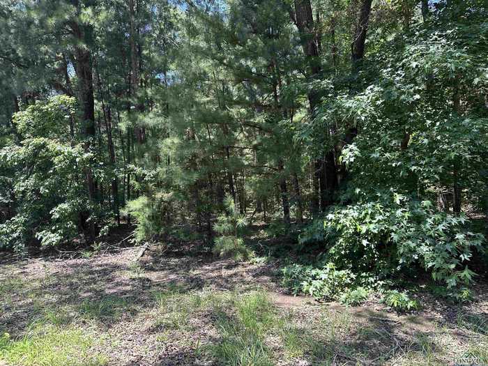 photo 1: TBD Hawthorne, Gilmer TX 75644