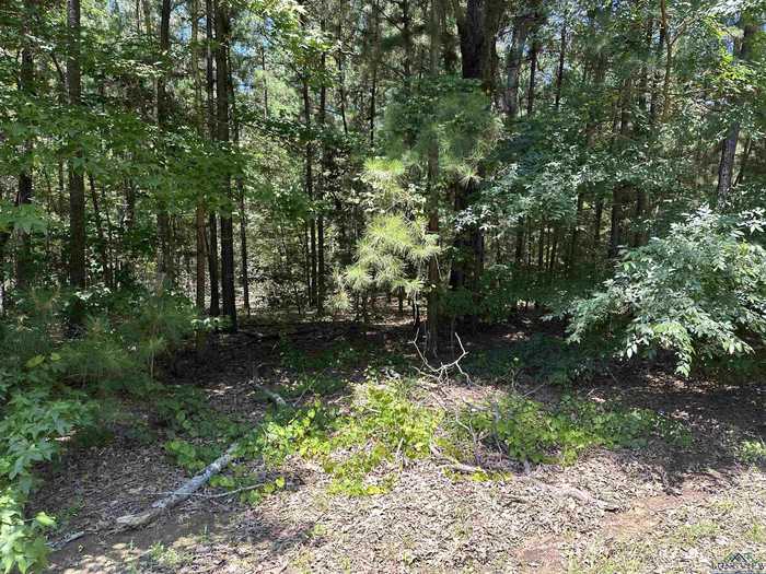 photo 2: TBD Hawthorne, Gilmer TX 75644