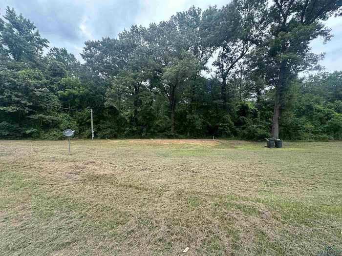 photo 5: 136 County Road 3548, Atlanta TX 75551