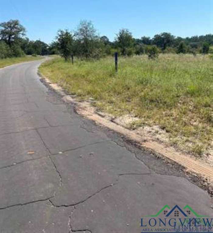 photo 2: TBD County Road 1242, Douglassville TX 75560