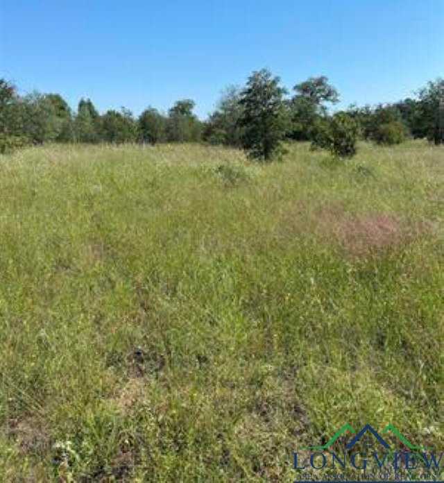 photo 3: TBD County Road 1242, Douglassville TX 75560