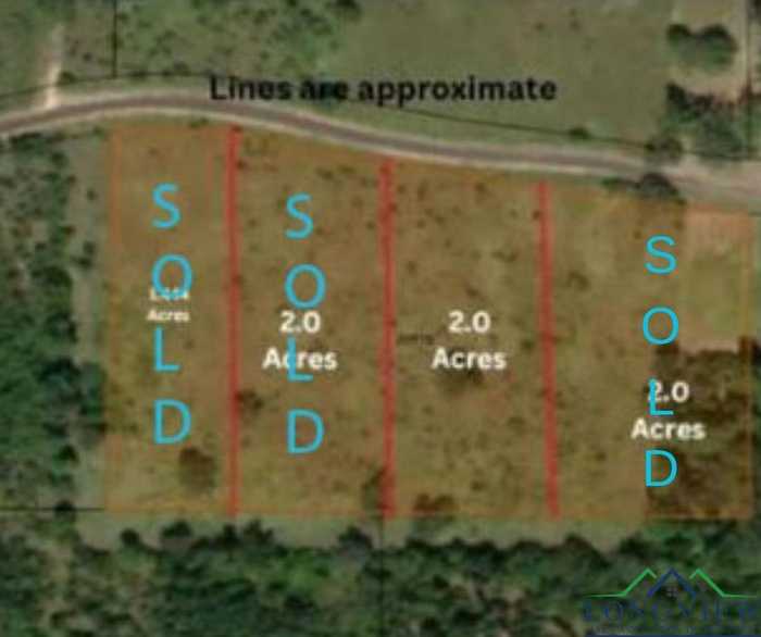 photo 4: TBD County Road 1242, Douglassville TX 75560