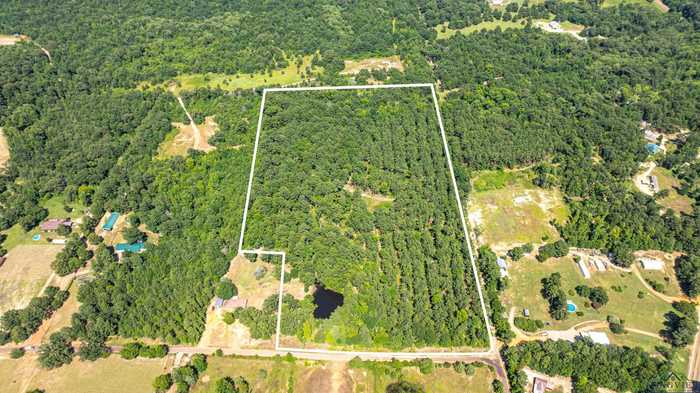 photo 1: TBD 24.7 Acres Shag Bark Rd, Big Sandy TX 75755