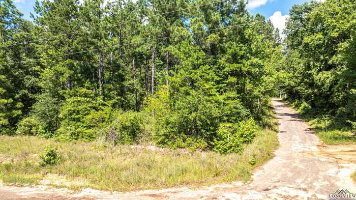 photo 9: TBD 24.7 Acres Shag Bark Rd, Big Sandy TX 75755