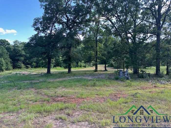 photo 4: 680 La Salle Ave, Ore City TX 75683