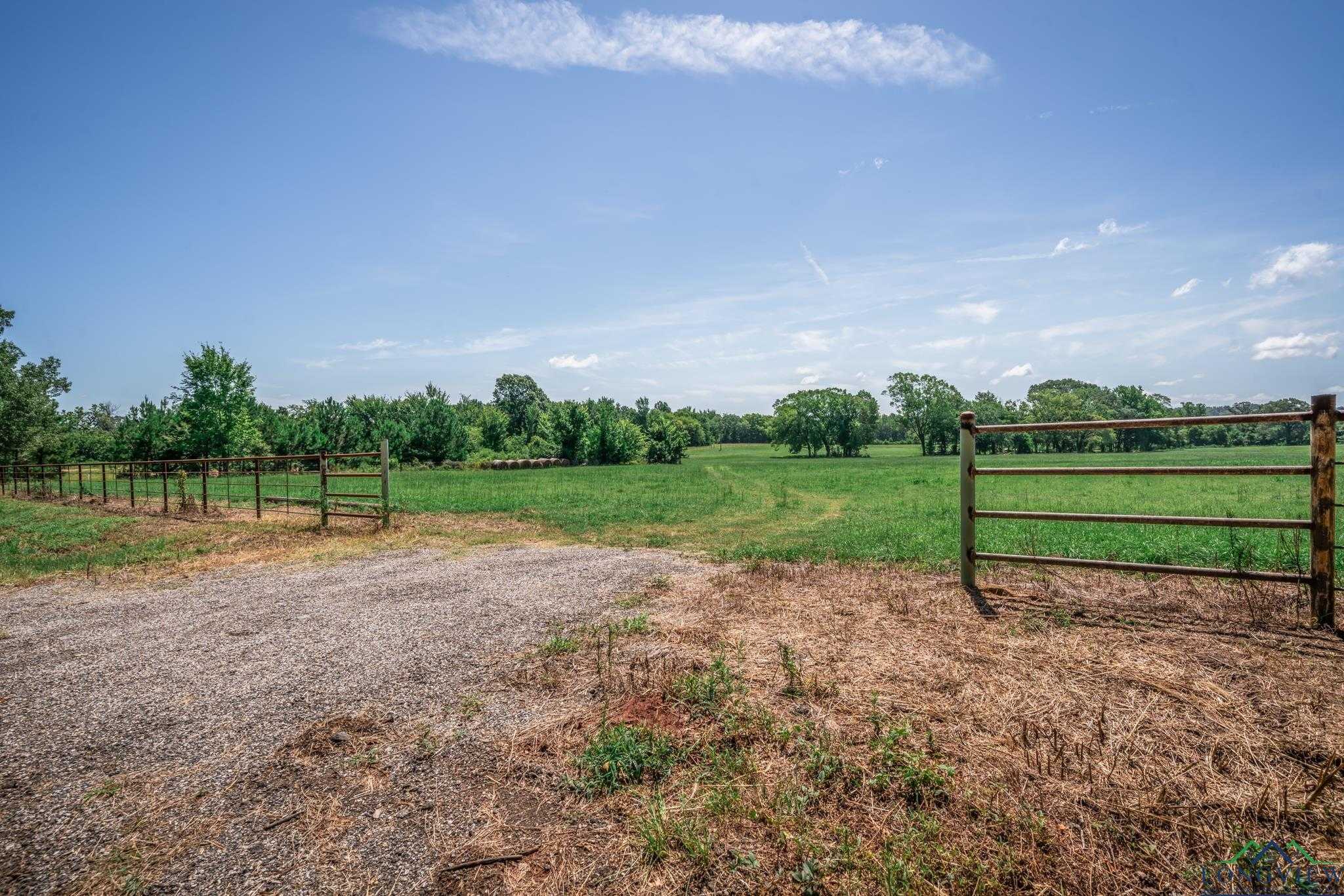 photo 3: TBD CR 401 S, Henderson TX 75654