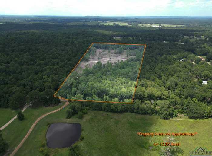 photo 1: TBD Flamingo RD, Gilmer TX 75645