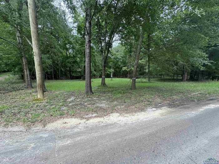 photo 2: 267 Jefferson Ave, Avinger TX 75630