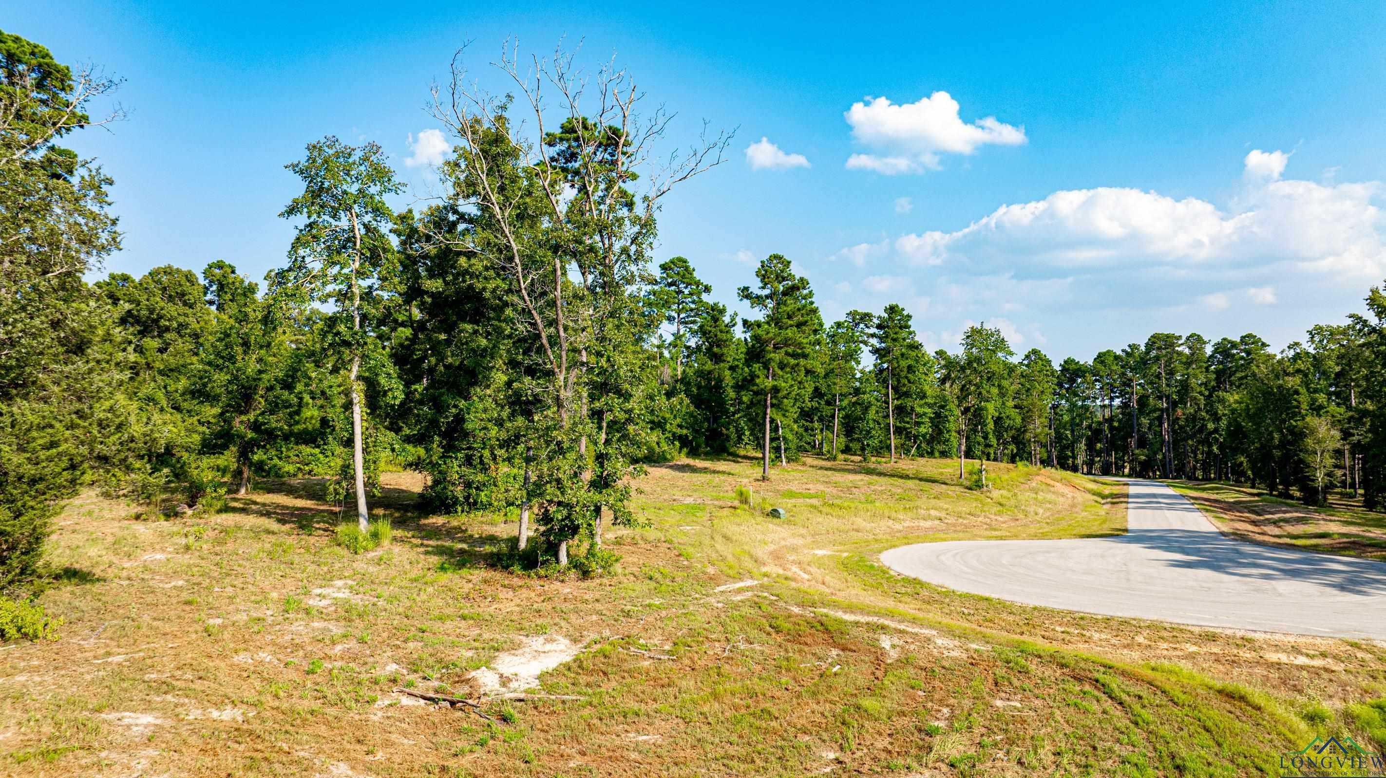 photo 1: TBD (Lot 46) Marble Way, Hallsville TX 75650