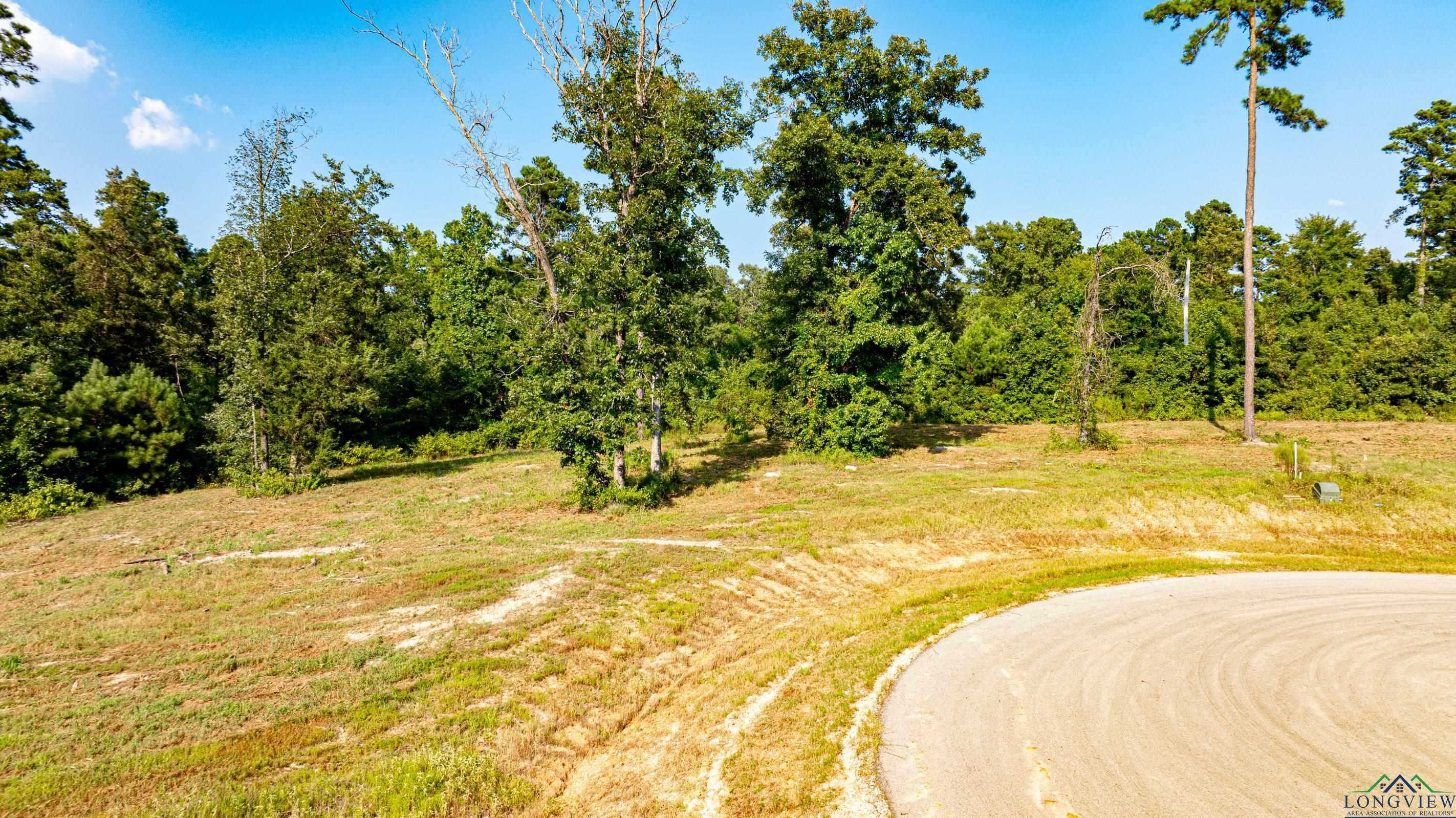 photo 2: TBD (Lot 46) Marble Way, Hallsville TX 75650