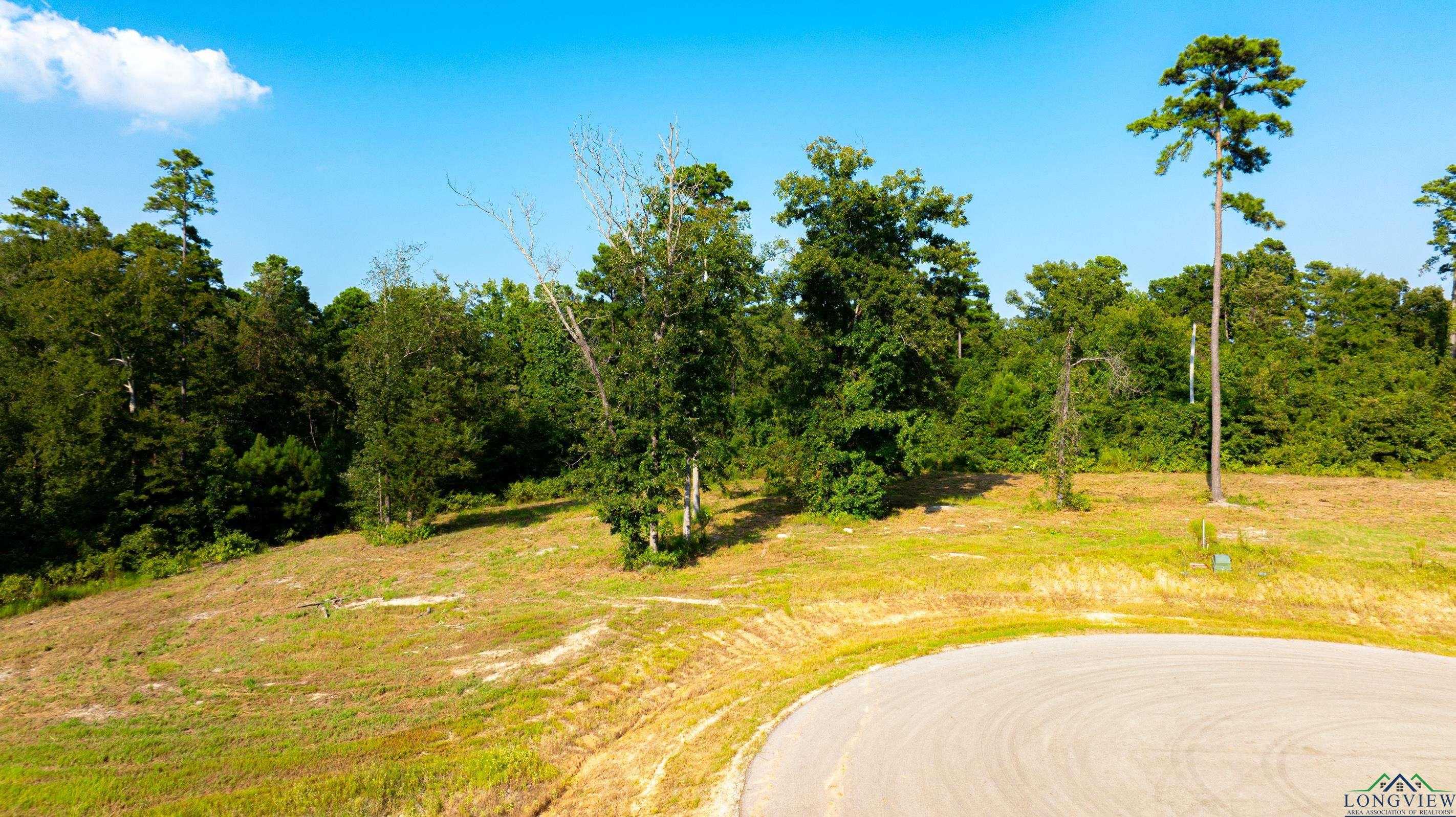 photo 3: TBD (Lot 46) Marble Way, Hallsville TX 75650