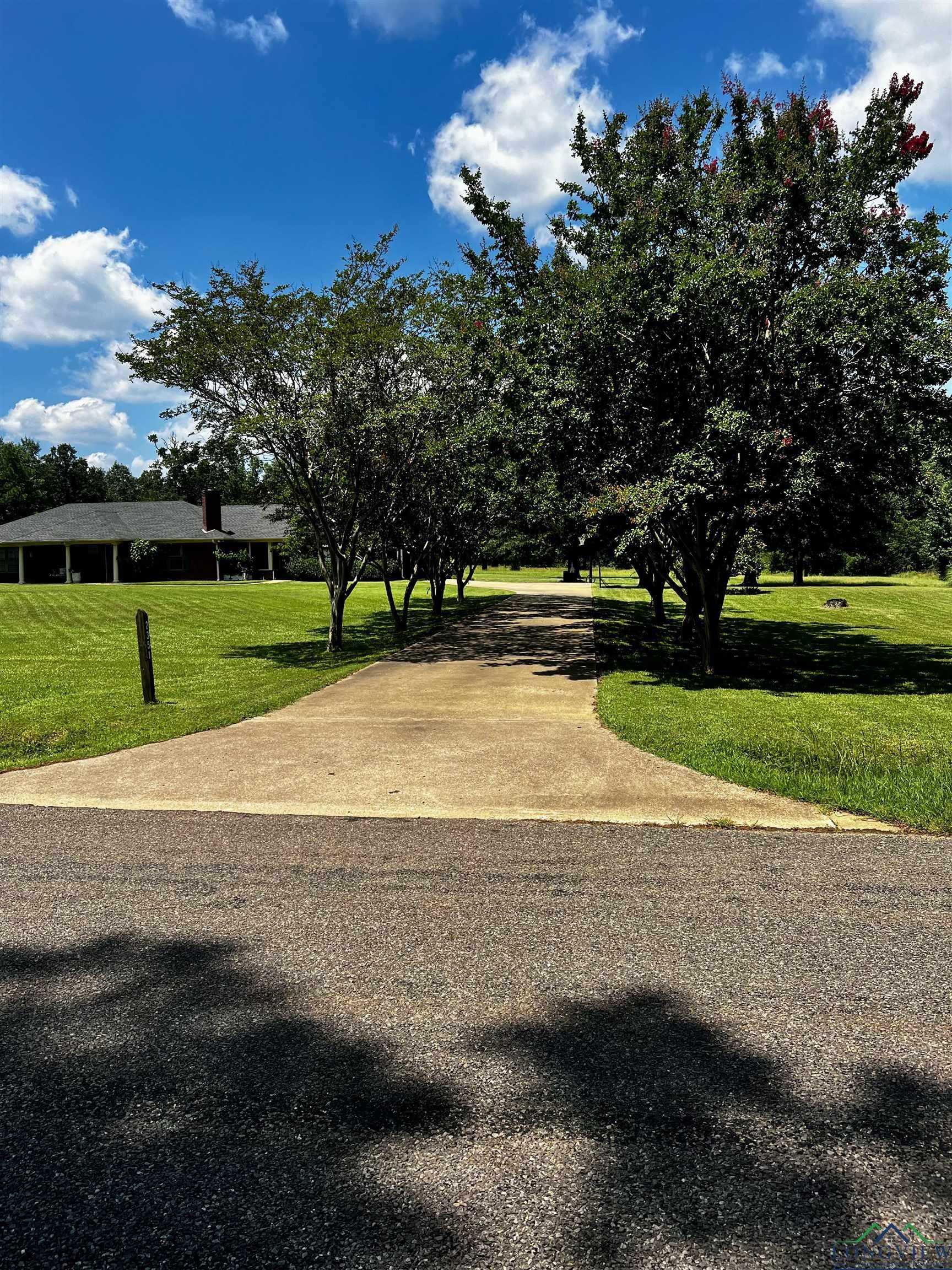 photo 3: 2351 Waldrons Ferry Road, Hallsville TX 75650