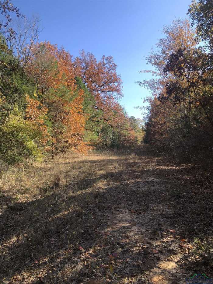 photo 1: Private Rd 3044, Marshall TX 75670