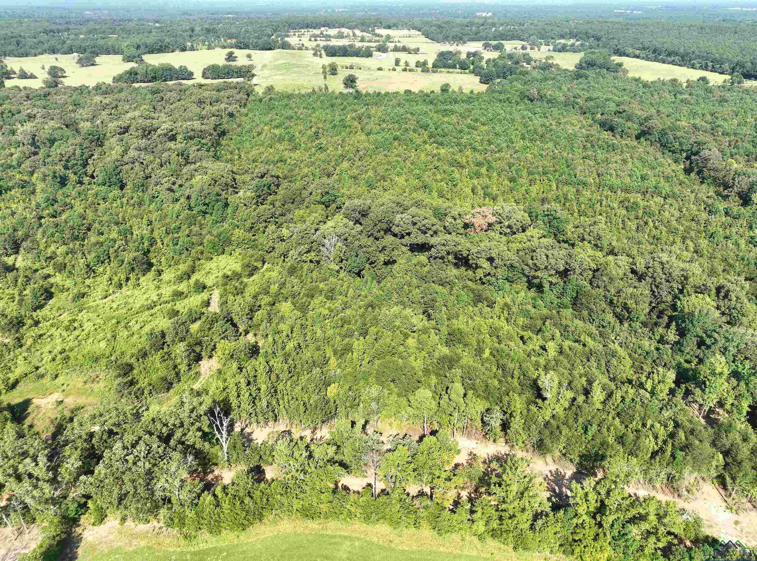 photo 1: TBD Mistletoe Road Lot 14, Gilmer TX 75644