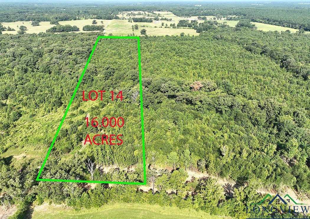 photo 2: TBD Mistletoe Road Lot 14, Gilmer TX 75644