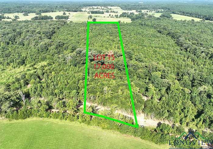 photo 14: TBD Mistletoe Road LOT 15, Gilmer TX 75644