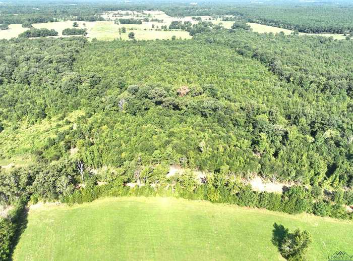 photo 2: TBD Mistletoe Road LOT 15, Gilmer TX 75644