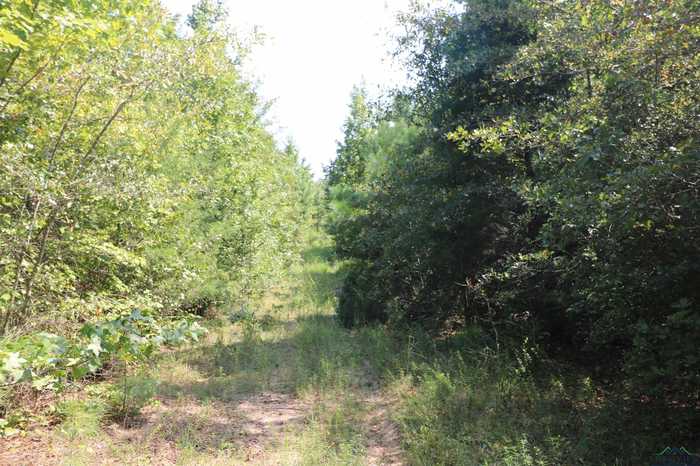 photo 12: TBD Mistletoe Road Lot 16, Gilmer TX 75644