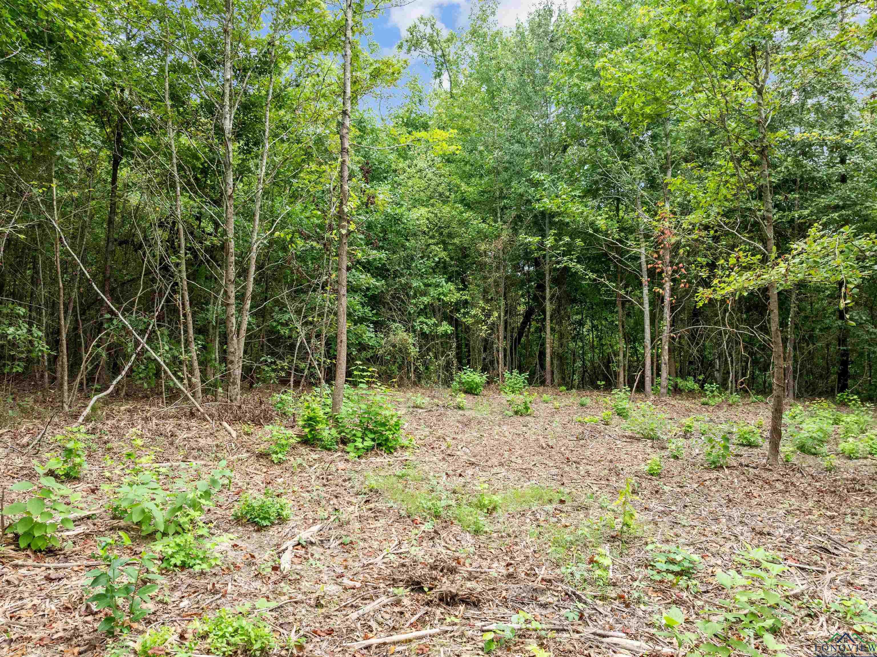 photo 3: TBD Mistletoe Road Lot 16, Gilmer TX 75644