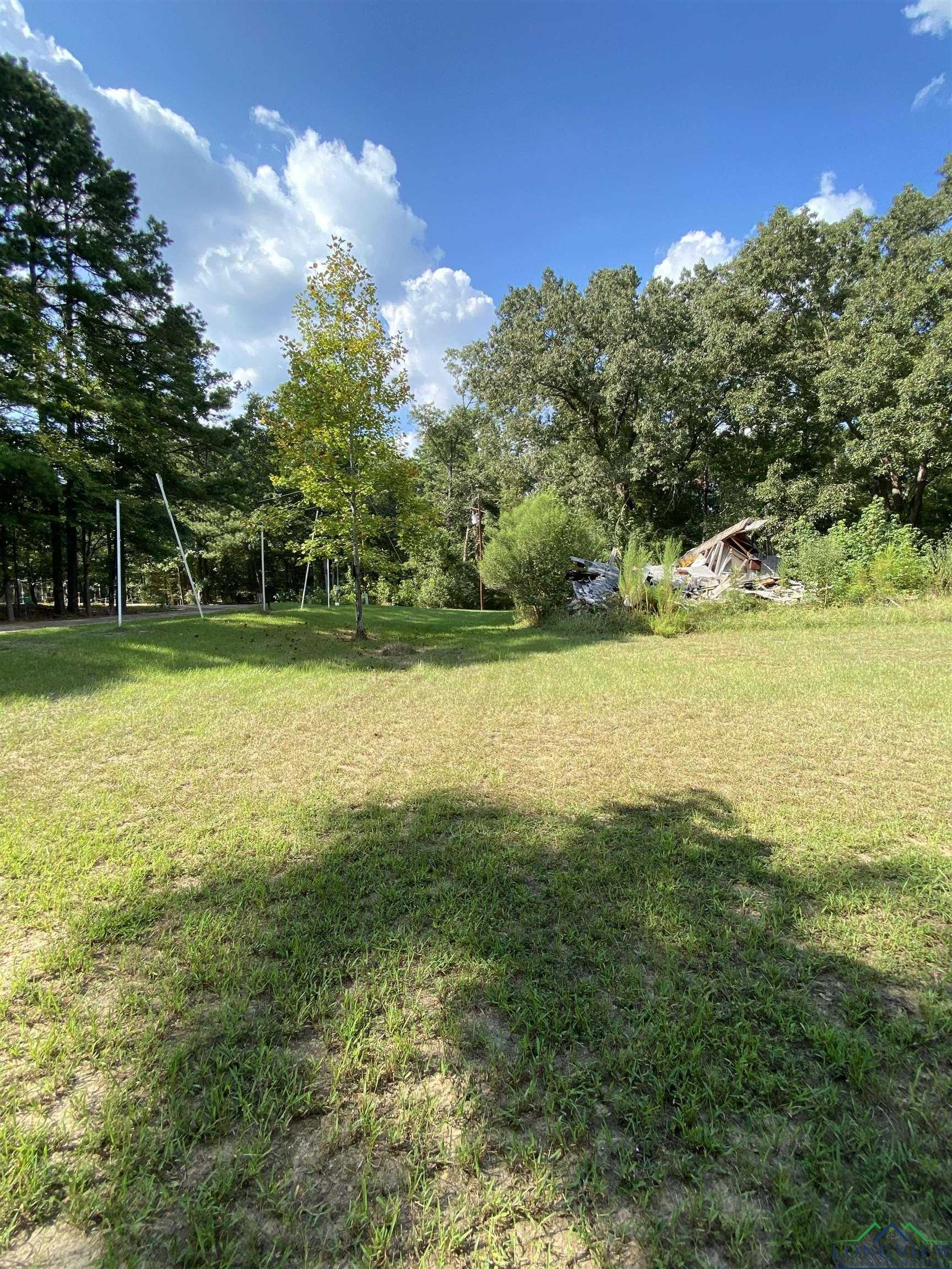 photo 3: 670 Seminole Loop, Jefferson TX 75657